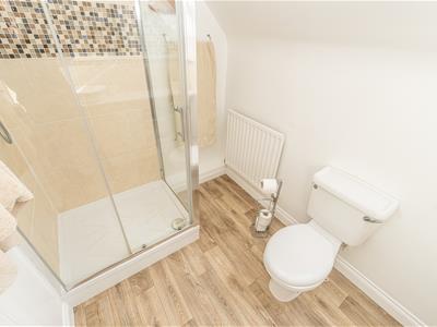 Picture 31